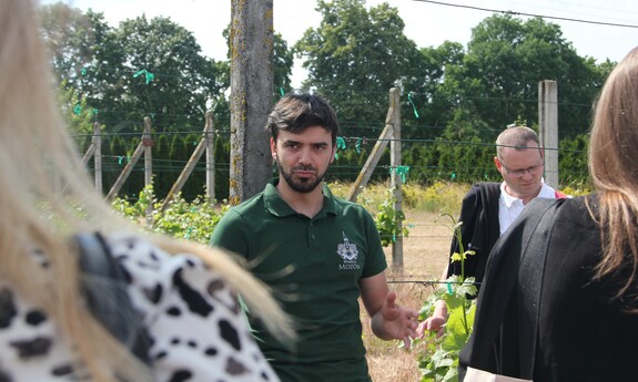 Zwiedzanie uniwersyteckiej winnicy w Kalsku – oprowadza mgr inż. Bartosz Kucuń; fot. J. Czarnecka