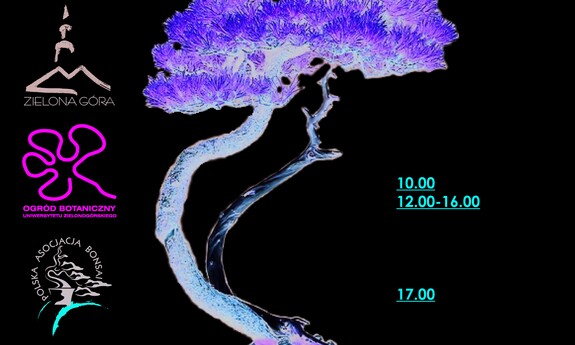 Wystawa bonsai w Ogrodzie Botanicznym UZ