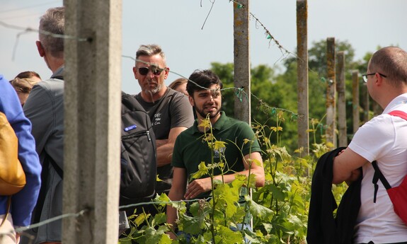 Zwiedzanie uniwersyteckiej winnicy w Kalsku – oprowadza mgr inż. Bartosz Kucuń; fot. J. Czarnecka