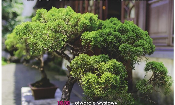 Zapraszamy do Ogrodu Botanicznego na wystawę bonsai